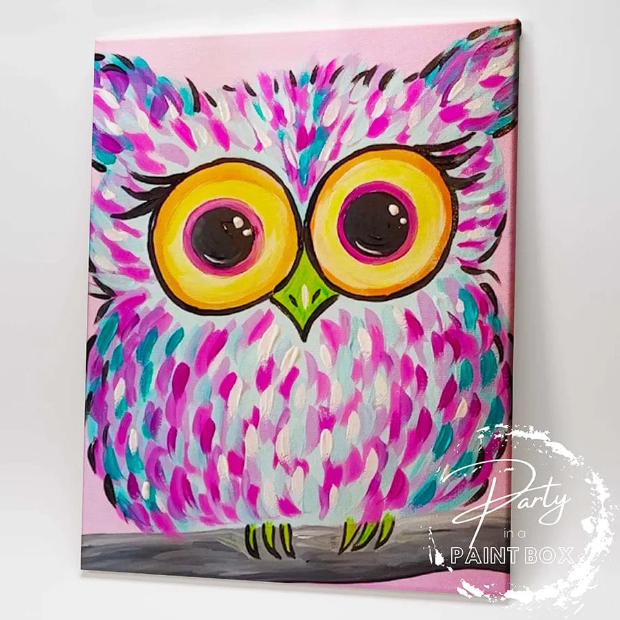 'Colourful Owl' Painting Pack