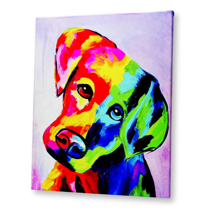'Rainbow Puppy' Kit