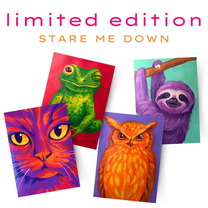 Stare Me Down 4 Pack Bundle