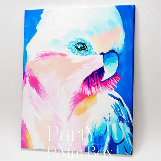 'Cheeky Galah' Kit - Party in a Paint Box