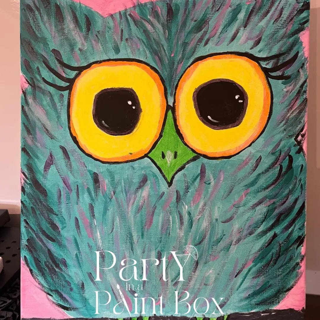 'Colourful Owl' Kit - Party in a Paint Box