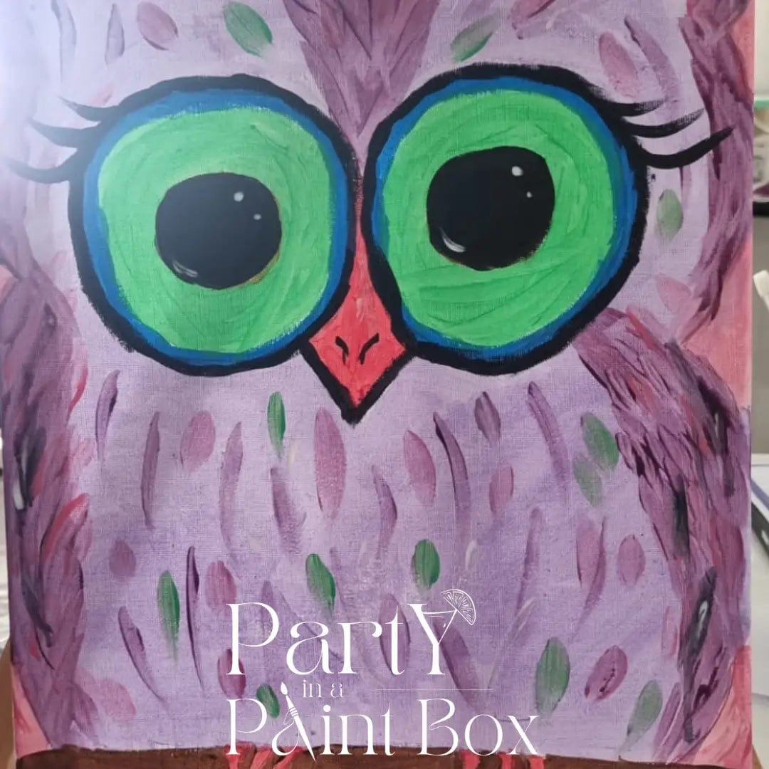 'Colourful Owl' Kit - Party in a Paint Box